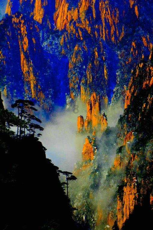 逃离梦想花园