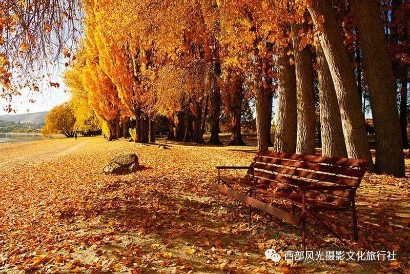 喉咙肿、吞刀片……攻击嗓子的新病毒来了？