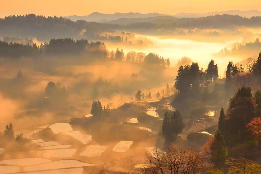 大逆转裁判：编年史 法庭上的时光机，与成步堂龙之介的历史之旅