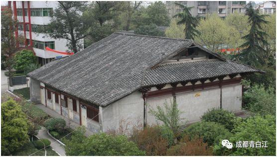 一个月的小猫八小时不吃东西会饿坏吗？游戏画面