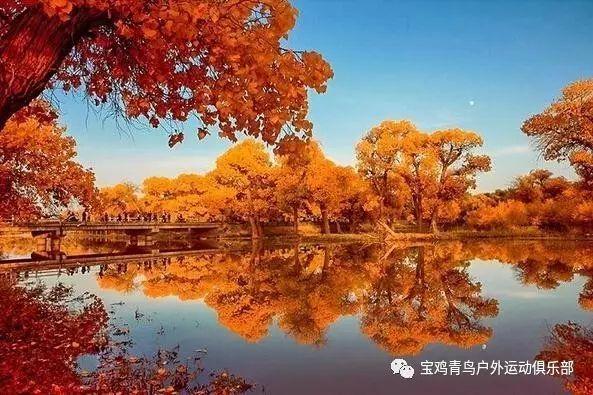 世界射箭锦标赛