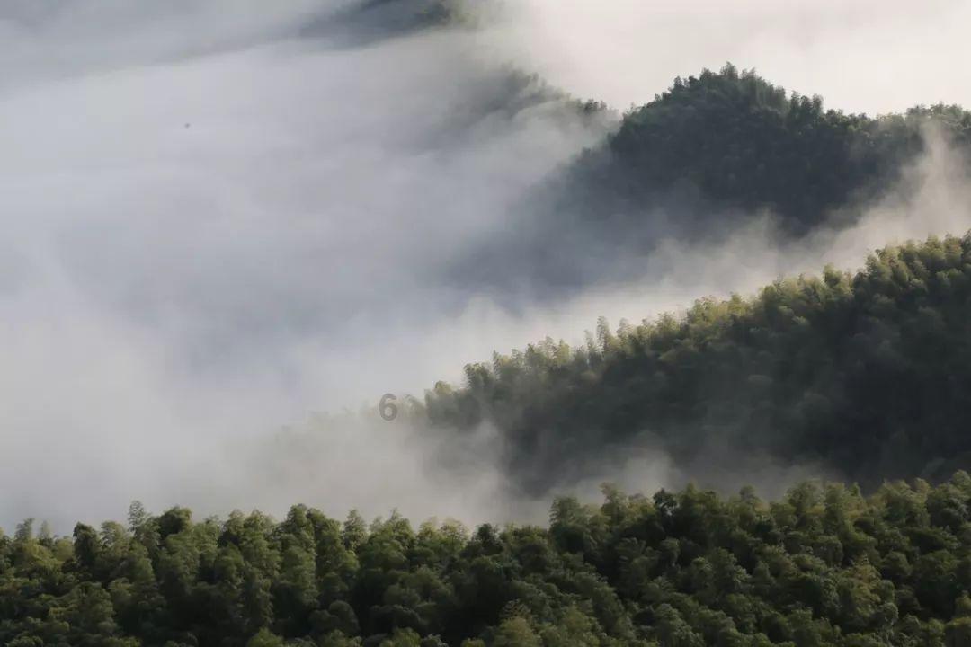 星露谷物语