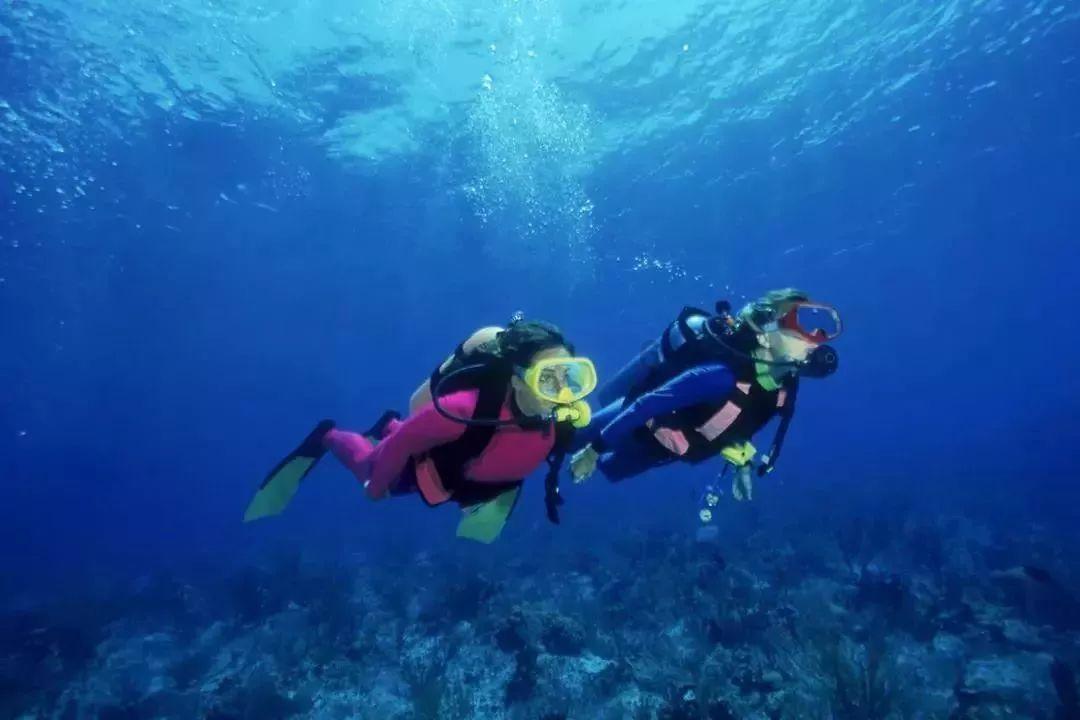脑洞小老弟无实名认证