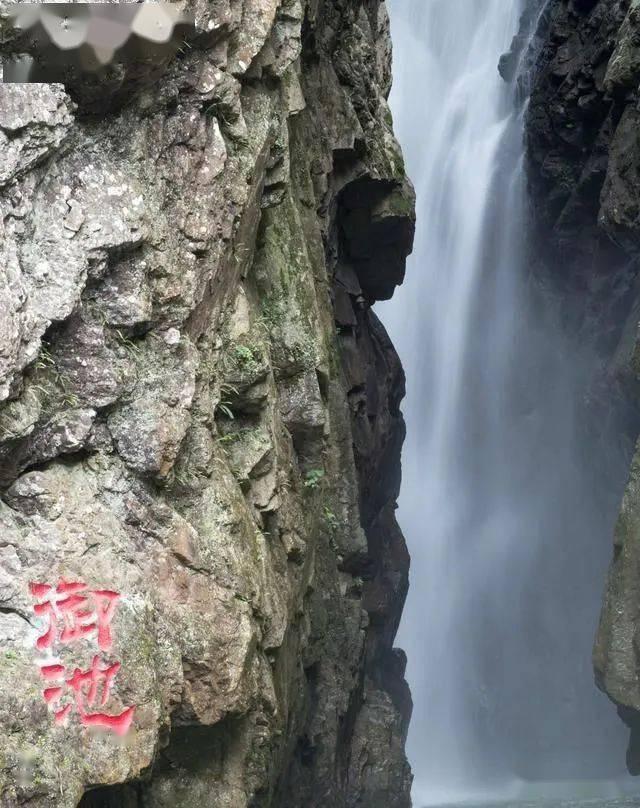 表情大乱斗