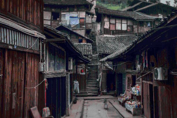 逃离橡子树种植地