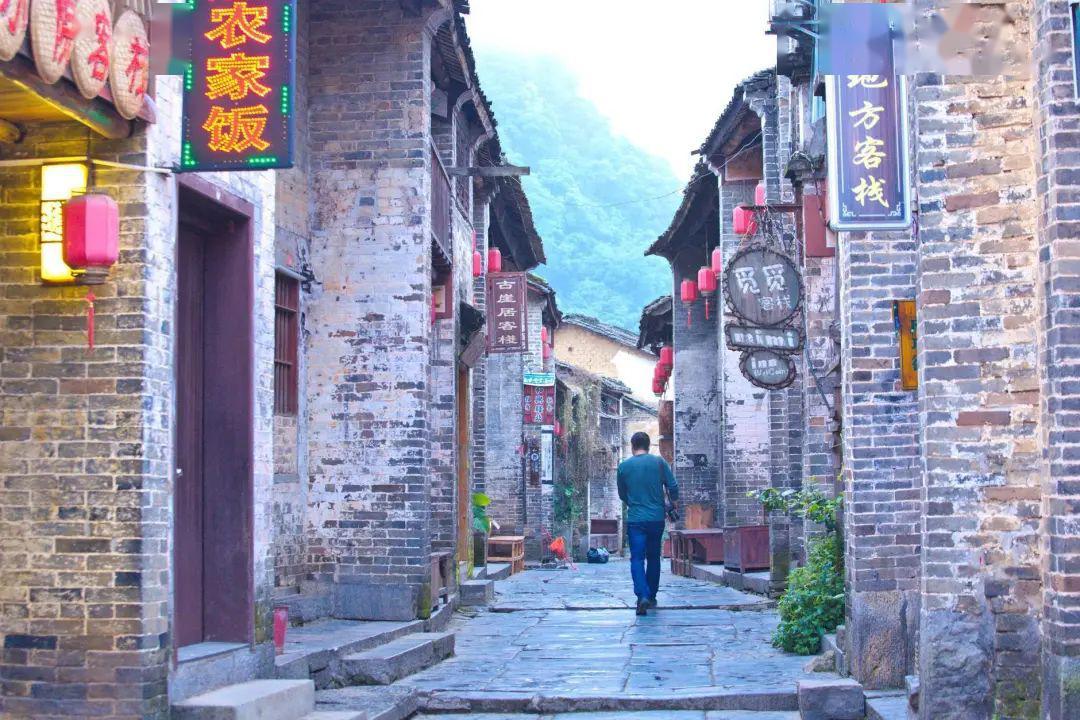 杨志明 勤劳致富 种“中国最好的葡萄”